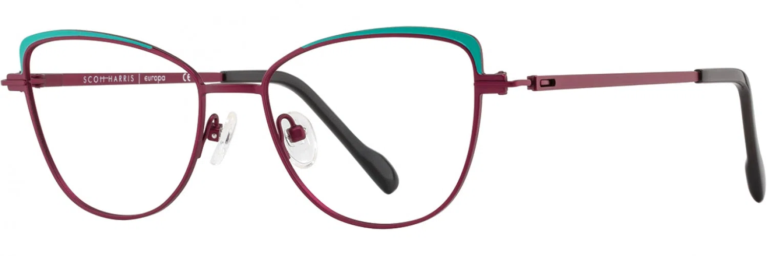 Scott Harris SH850 Eyeglasses - view 12